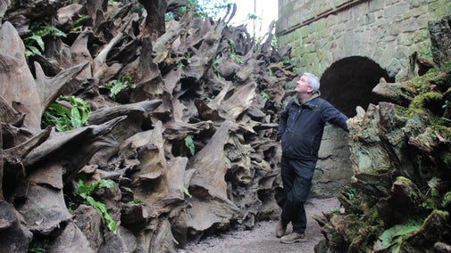 Head Gardener Paul Walton with the newly finished section of stumpery at Biddulph Grange Garden